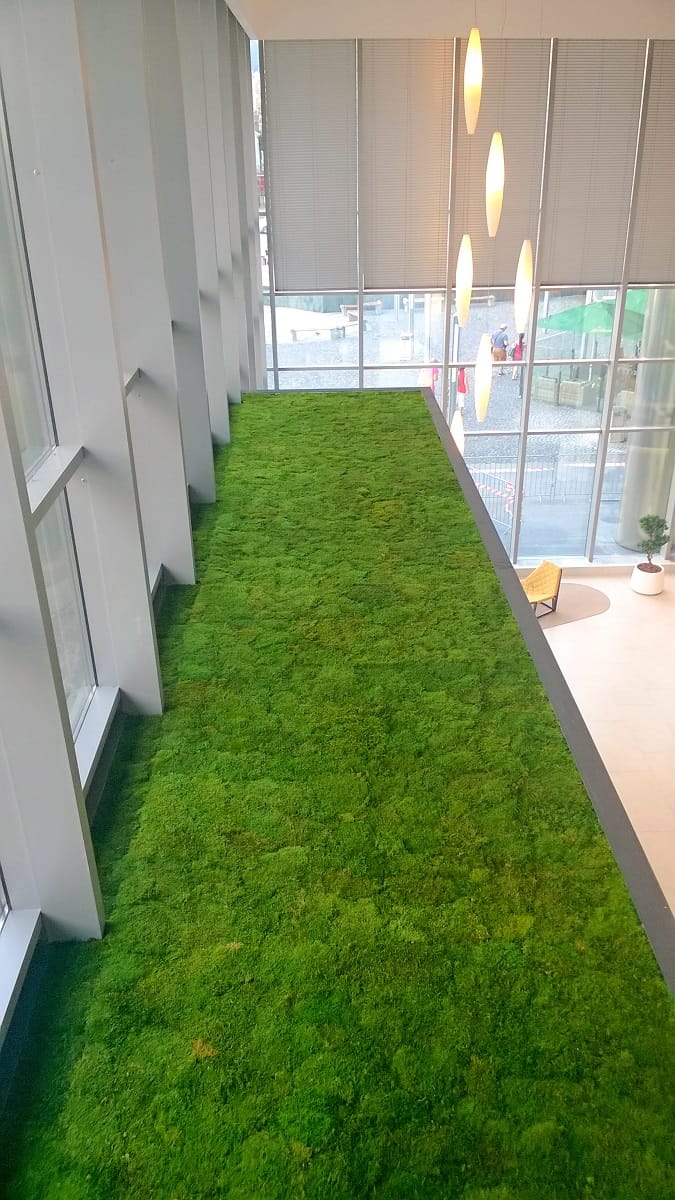 Moosdecke Innenraum Begrünung mit echtem Moos GREENIN
