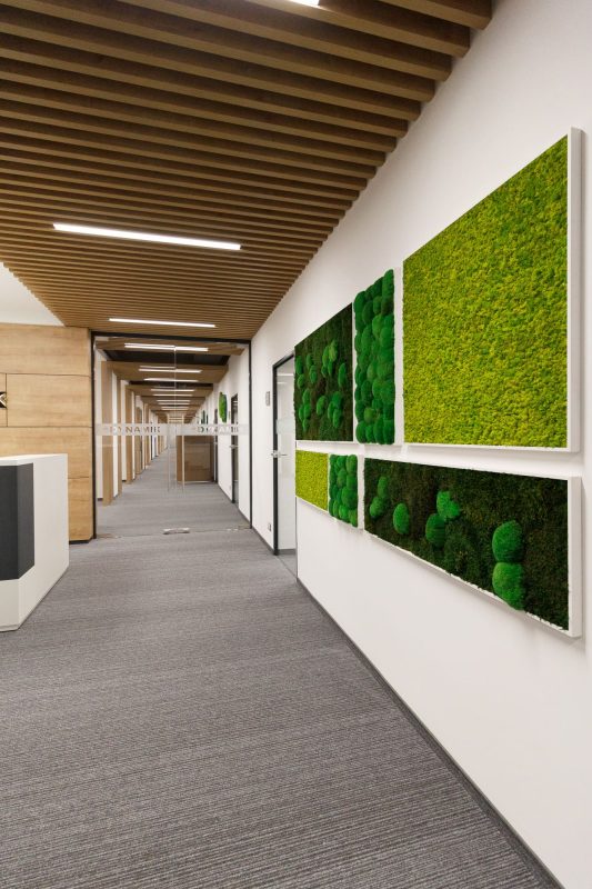 Moosbilder im Office-Eingangsbereich – Projekt DYNAMIK HOLDING von GREENIN
