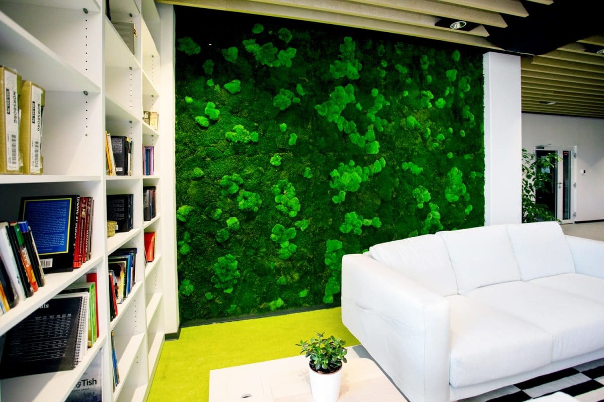 Detailansicht der Mooswand mit Flach- und Kugelmoos im IKEA Büro