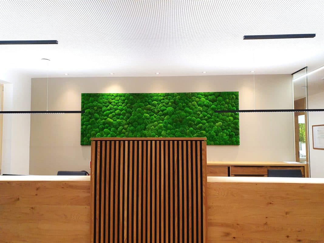 Kugelmoos Moosbild in einer modernen Praxis in Saalfelden – natürliche Wandgestaltung von GREENIN