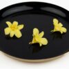 Dednrobium Orchid_gelb_GREENIN Moosbilder