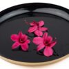 Dendrobium Orchid_fuchsia_GREENIN Moosbilder
