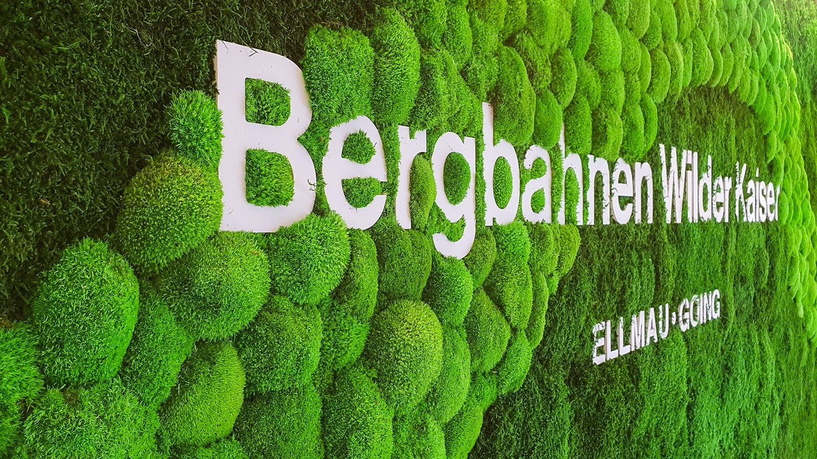 Detailaufnahme einer